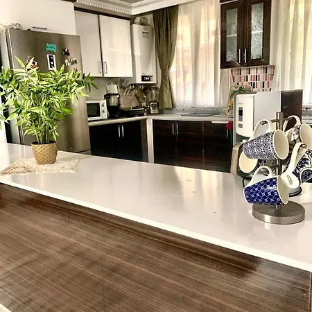 Forest Villa, Breakfast Hotel, 6 Minutes From Istanbul Airport