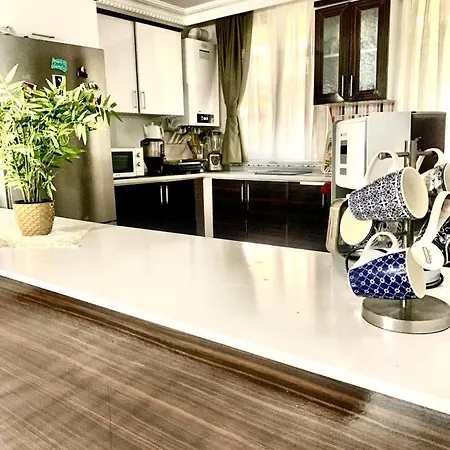 Couette-café Forest Villa, Breakfast Hotel, 6 Minutes From Istanbul Airport *