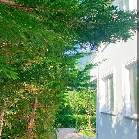 Forest Villa, Breakfast Hotel, 6 Minutes From Istanbul Airport Couette-café Arnavutkoy