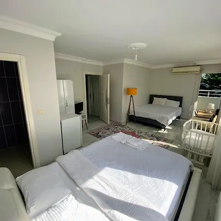 Forest Villa, Breakfast Hotel, 6 Minutes From Istanbul Airport Couette-café Arnavutkoy